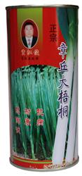 Zhangqiu Dawutong--Zhangqiu Scallion